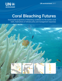 Coral Bleaching Futures report cover