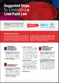 Suggested Steps for Establishing a Lead Paint Law