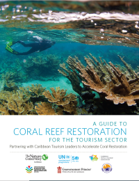 Restoration cover