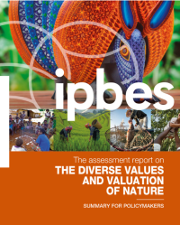 Report cover