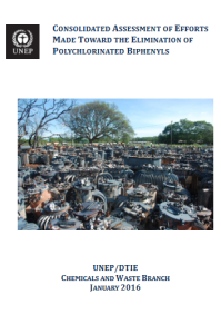 Consolidated assessment of efforts made towards the elimination of polychlorinated biphenyls