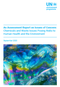 An Assessment Report on Issues of Concern: Chemicals and Waste Issues Posing Risks to Human Health and the Environment
