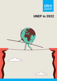 Report cover
