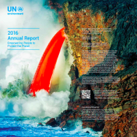 2016 Annual Report cover