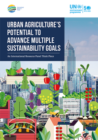 Urban Agriculture’s Potential to Advance Multiple Sustainability Goals - An International Resource Panel Think Piece
