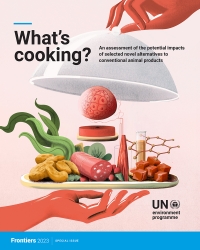 What's Cooking report cover