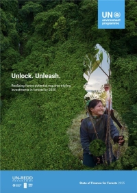 Report cover