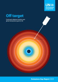Report cover