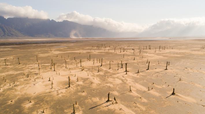 Cape Town water crisis