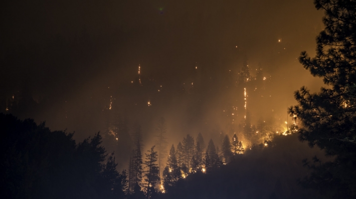 Bush fires