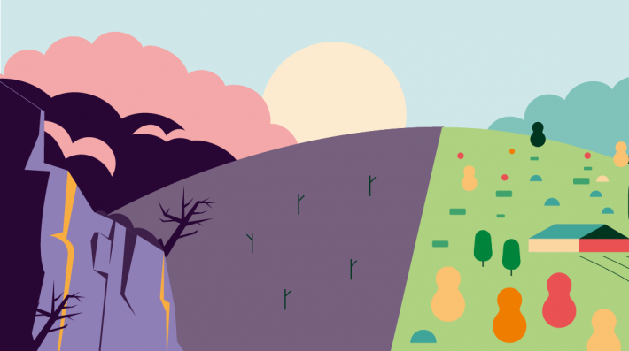 Banner image