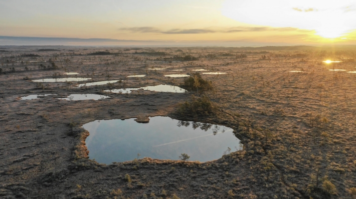 peatlands