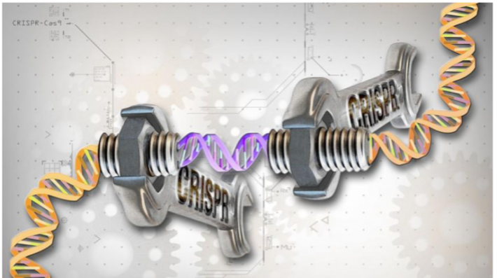 synthethic biology
