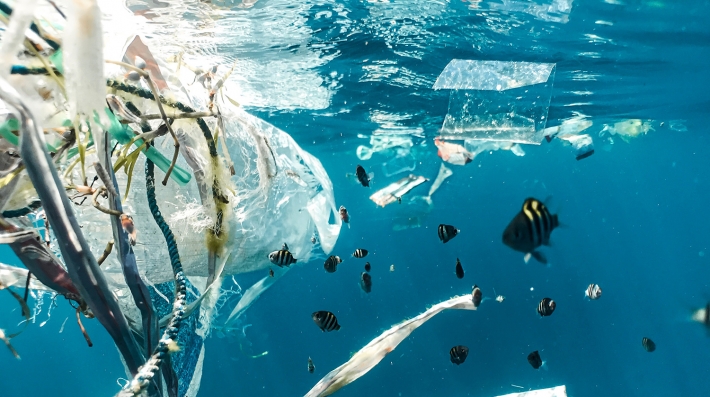 sea plastic pollution