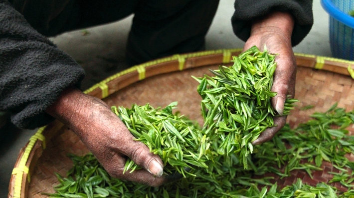 tea leaves