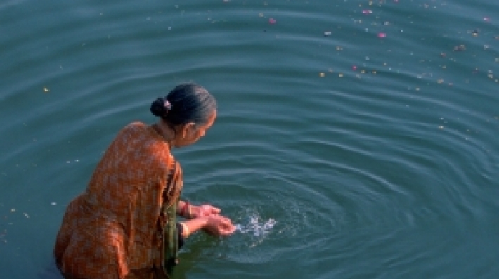 Faith for Earth Newsletter