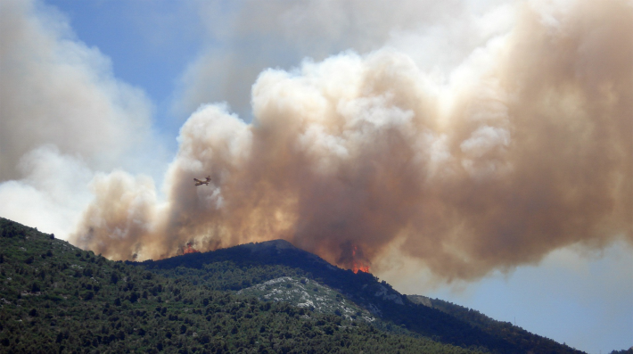 Wildfire