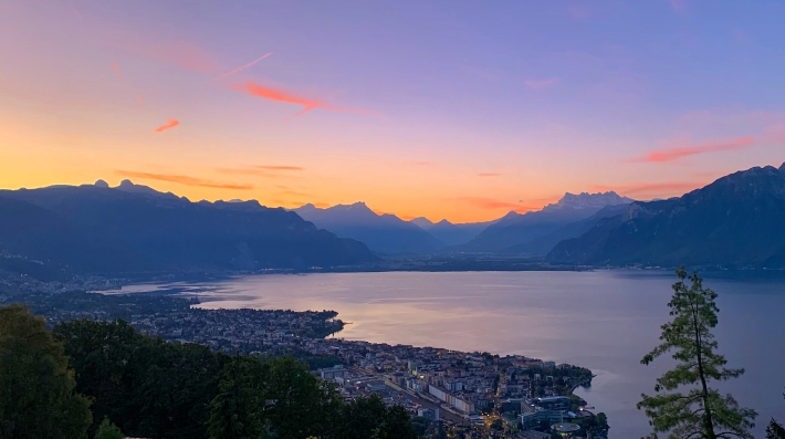 Photo by Alexander Kovacs/ Unsplash