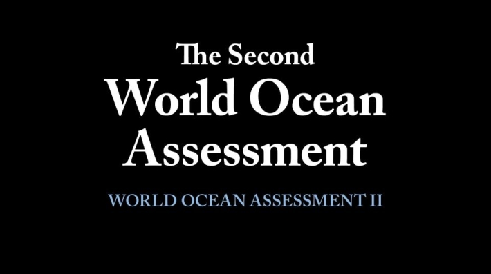The Second World Ocean Assessment