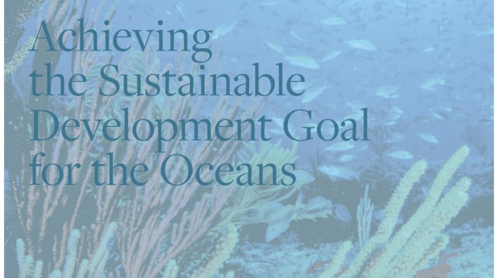 SDGs