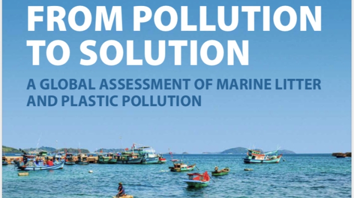 From Pollution to Solution