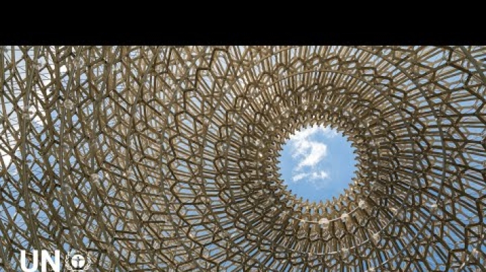 Circularity