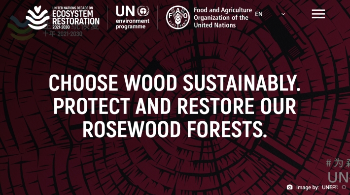 rosewood