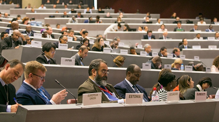 Delegates in a meeting