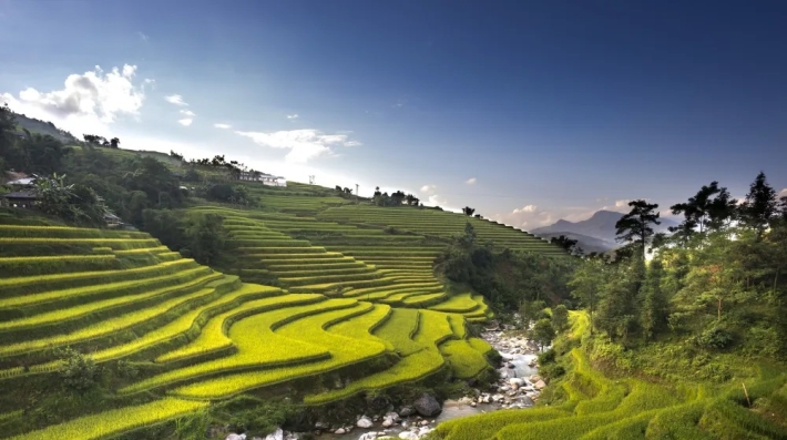 Agriculture