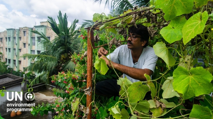 Urban Agriculture