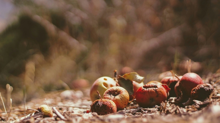 Spoiled fruits