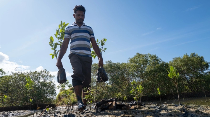 Community members plant mangroves at the Mangrove restoration site in Pubudugama, Sri Lanka