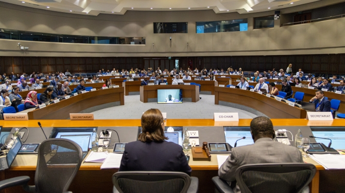 delegates in a round table discussion