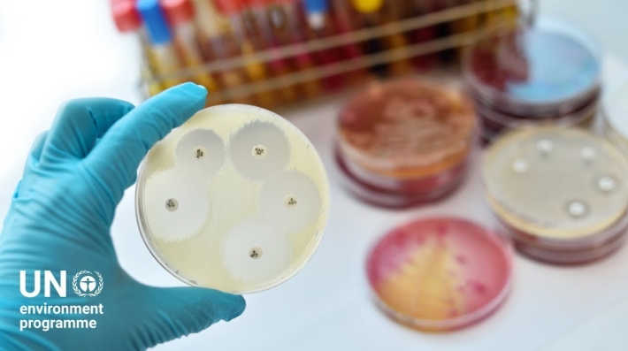 One Health response to antimicrobial resistance