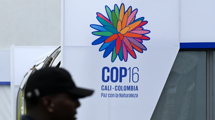 COP16