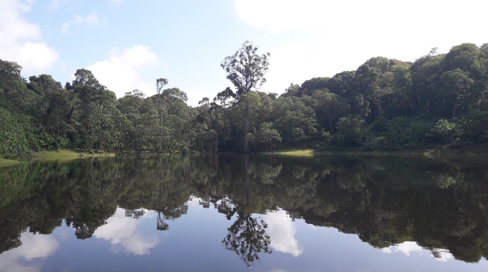 Small reservoir on the slopes of Mt Kenya.