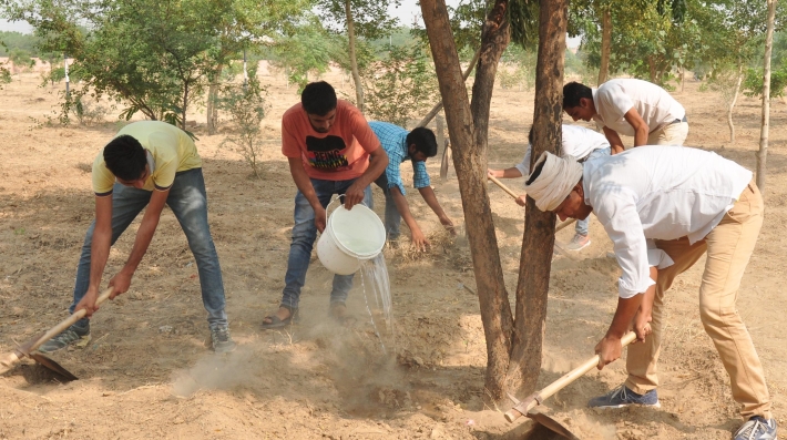 youths caring for a tree