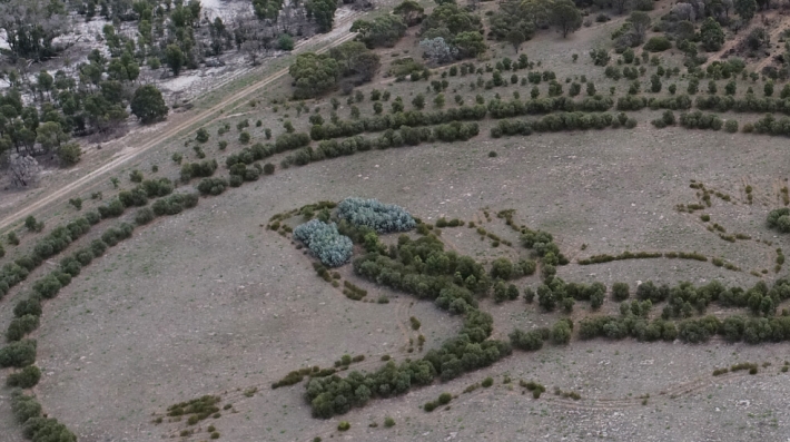 ecosystem management