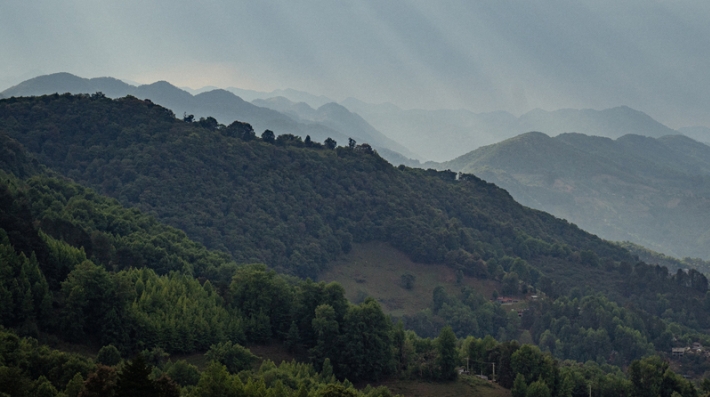 Green hills