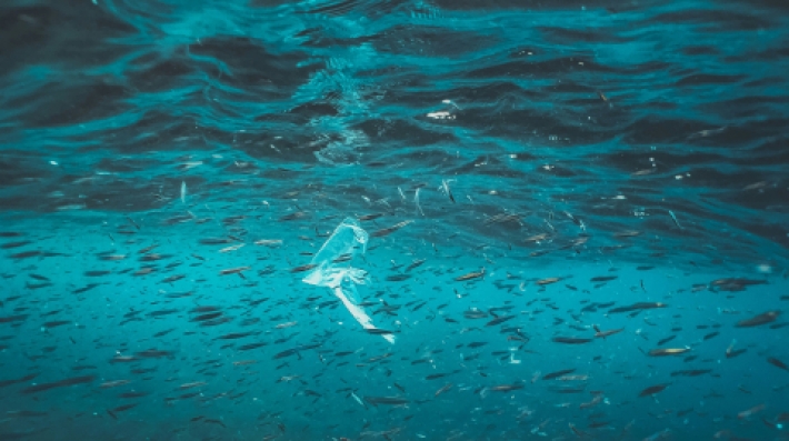Plastic pollution