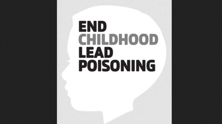 lead-free future partnership