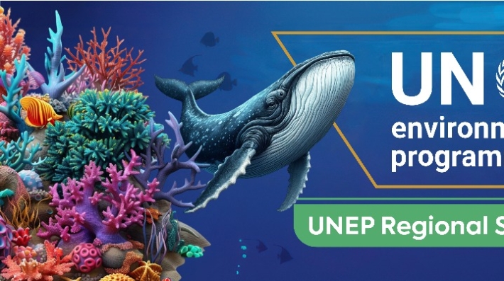 Regional Seas Programme
