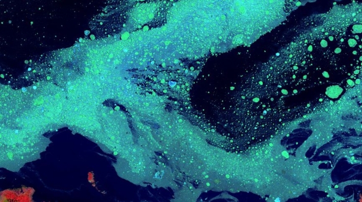 wedocs image