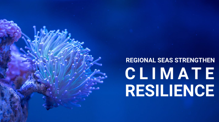 Climate resilience