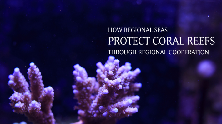 Coral reefs