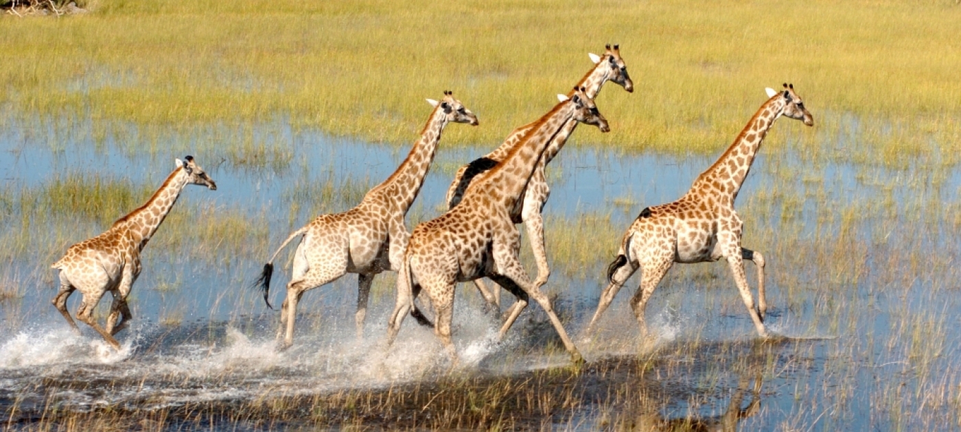 Decade of Action on the Sustainable Development Goals is under way