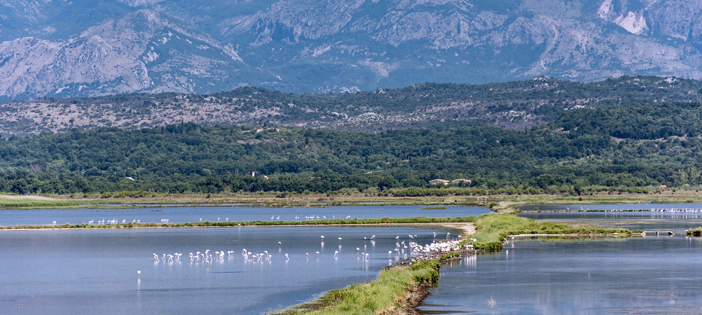 “Wetlands and Biodiversity” is the theme for World Wetlands Day 2020 Photo by Igor Stojović. Lake Ulcinj, Montenegro