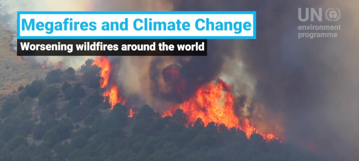 Megafires and Climate Change - Worsening wildfires around the world