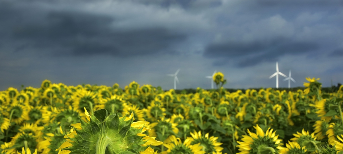 Dutch government and Rabobank announce anchor investments in AGRI3 Fund Pixabay