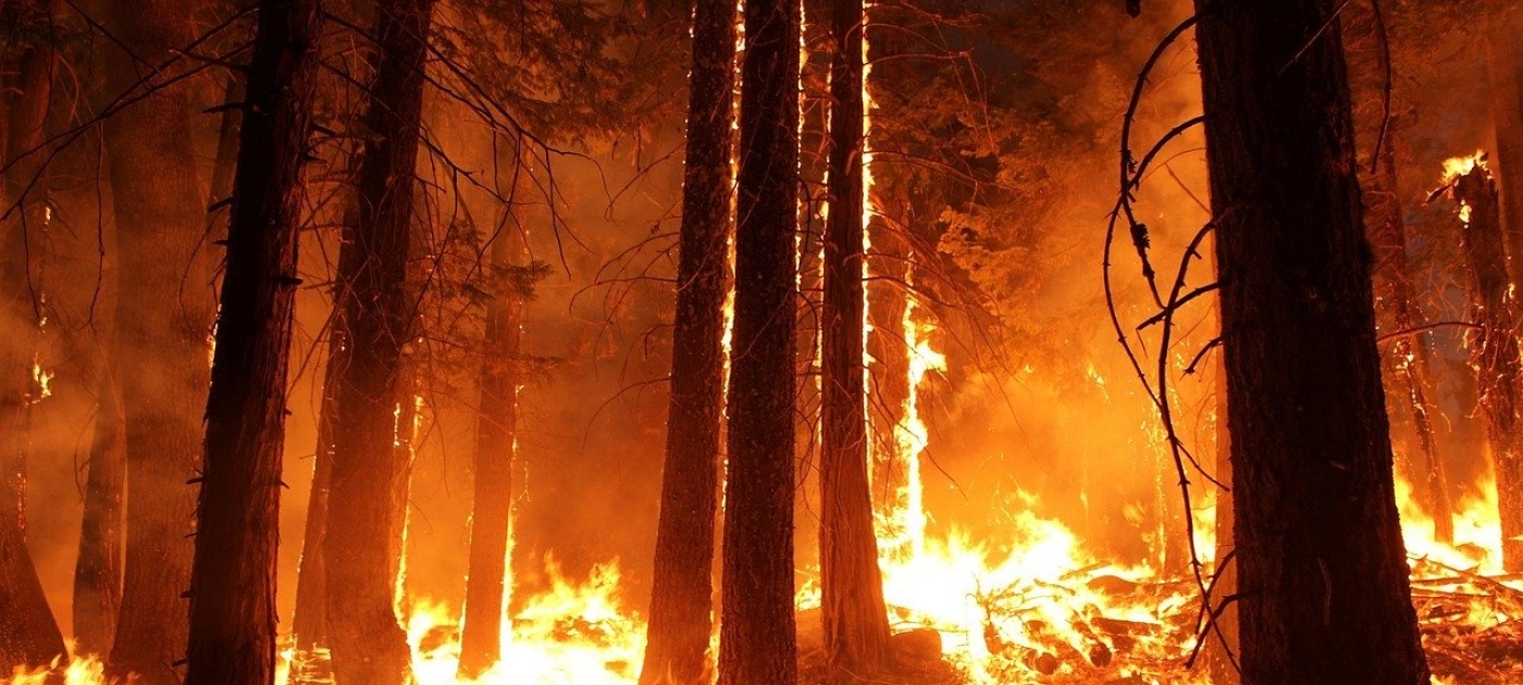 Who turned up the temperature? Climate change, heatwaves and wildfires Image by skeeze from Pixabay